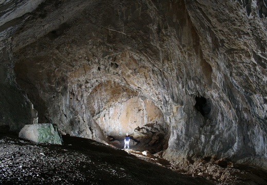 Grotte de la Beaume Archée