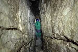 PA090156