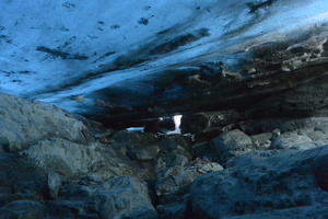  DSC1713