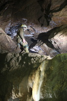 20230106161250 IMG 0295