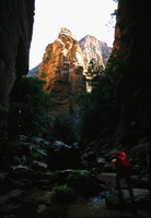 isalo canyon rats 1