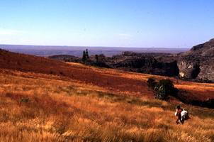 isalo paysage 5