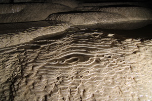 20231014162347 IMG 0928