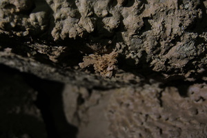 20231014173608 IMG 0934