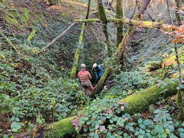 Perte des Près de Vivier 