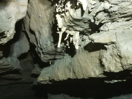 Perte des Près de Vivier 