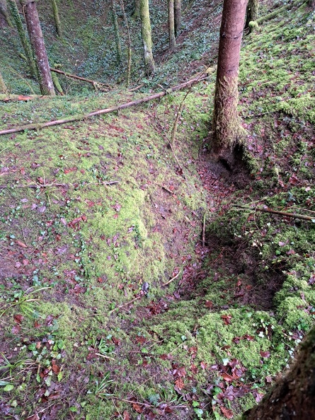 petit trou - Naisey granges 2.jpg