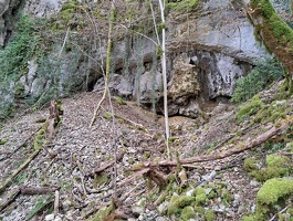 resurg Foss. Tremblottes