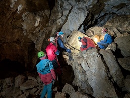 PXL 20241006 083429029