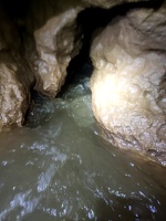 photo (6)