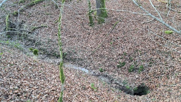 20251230 Perte du Bois de Vuillorbe n°3 (2)