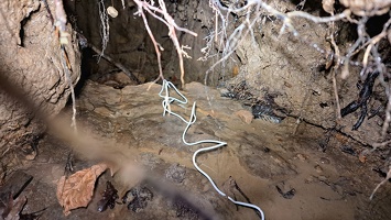 20251230 Trou du Rombot (2)